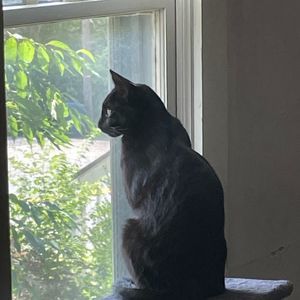 Meet your Posher, Kristie